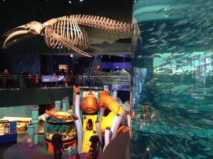 Ripley’s Aquarium, Toronto.