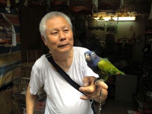 Mercado de pájaros en Hong Kong.