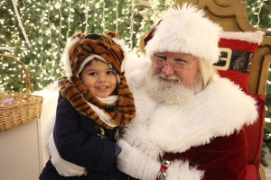 Lincoln Park ZooLights, Chicago.