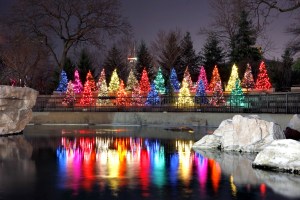 Lincoln Park ZooLights, Chicago.
